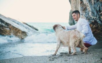 Ein Hund mit einem Mann am Wasser