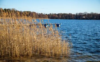 Ein See in Bad Saarow