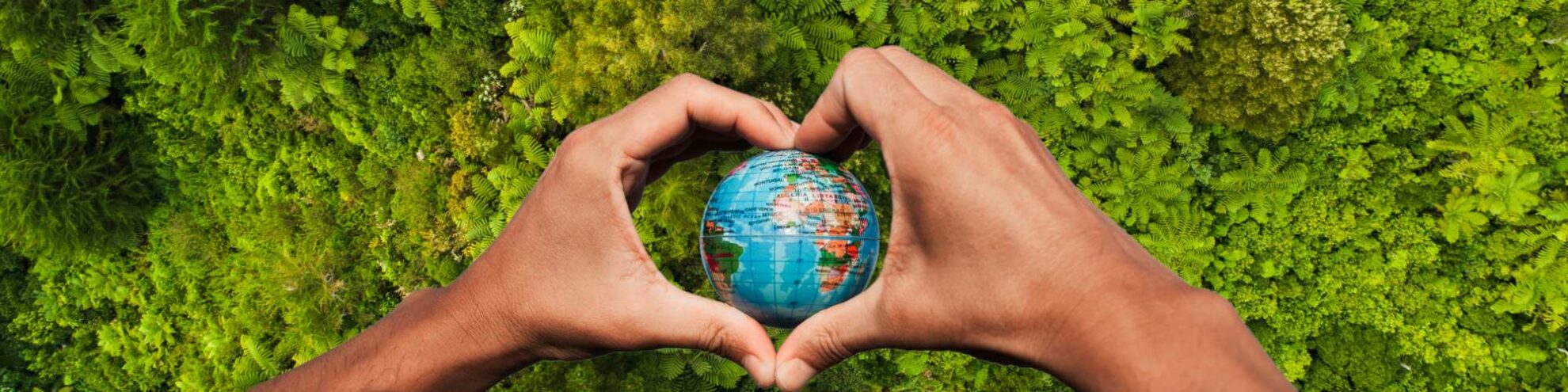 Grüner Hintergrund davor ein mit der Hand geformtes Herz in der ein Globus liegt.