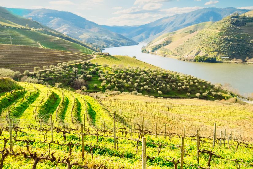 Douro Flusskreuzfahrten