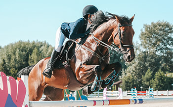 Reitturniere