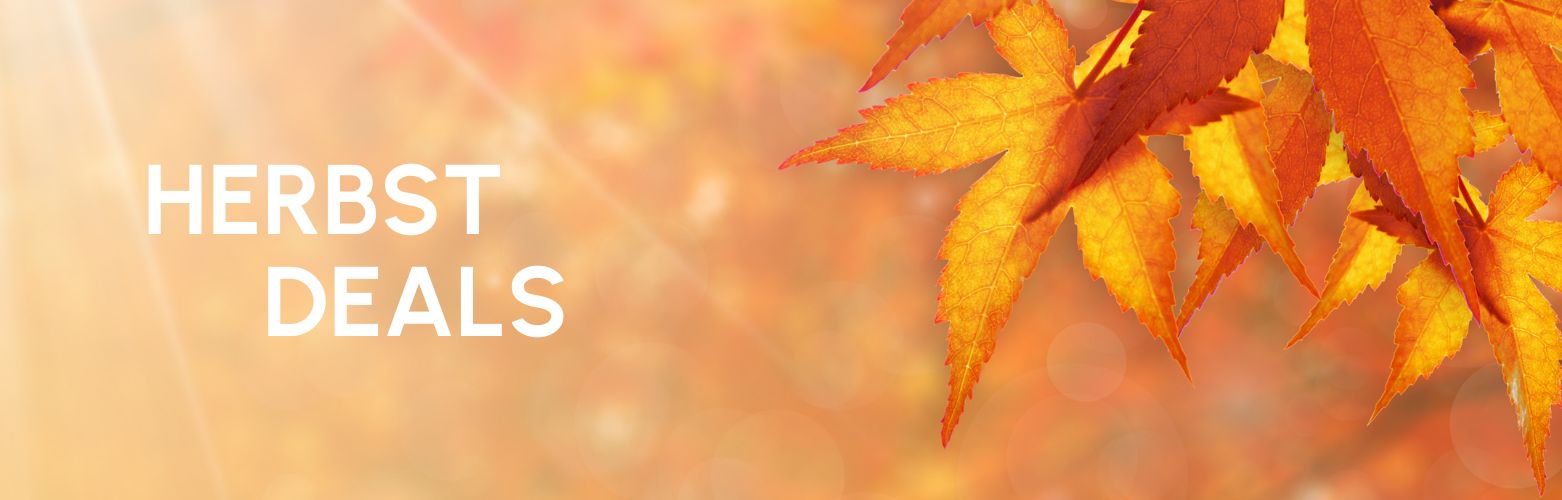 Header Reise Deals