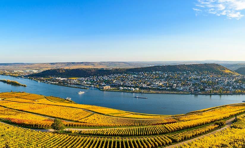 Urlaub am Rhein