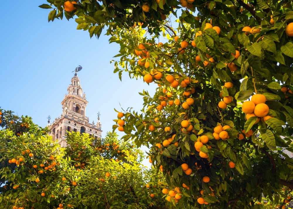 Andalusien