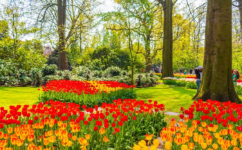 Keukenhof-Niederlande