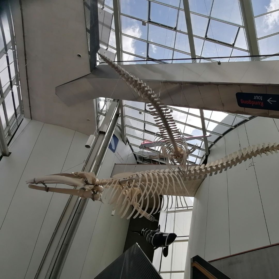 Museumsbesuch Stralsund