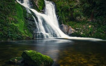 Ein Wasserfall im Schwarzwald