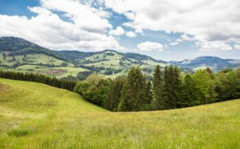 Die Landschaft des Schwarzwaldes