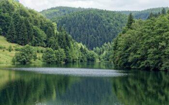 Thüringer Wald und im Vordergrund ist ein See zu sehen.