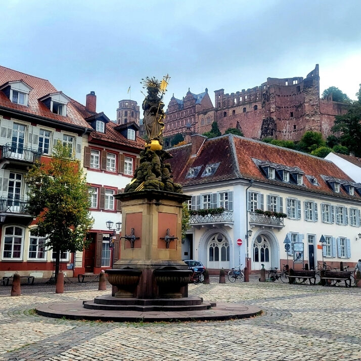 Heidelberg-bild (5)