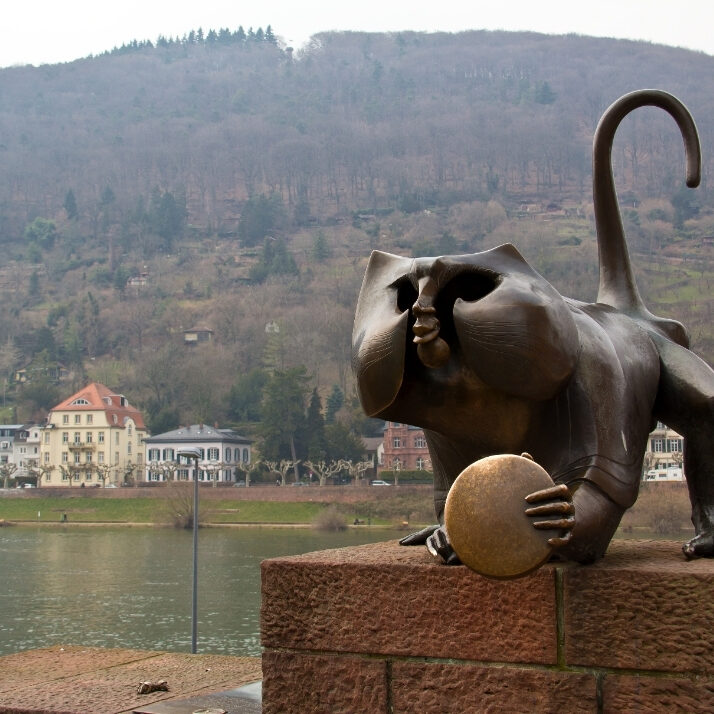 Heidelberg-bild (6)