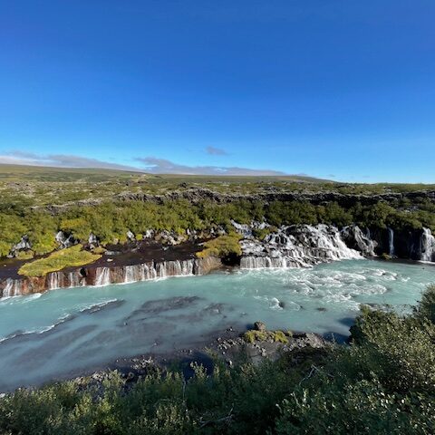 Die Hraunfossar-Wasserfälle in Island, bei denen unzählige kleine Wasserläufe aus einem Lavafeld in einen türkisblauen Fluss strömen