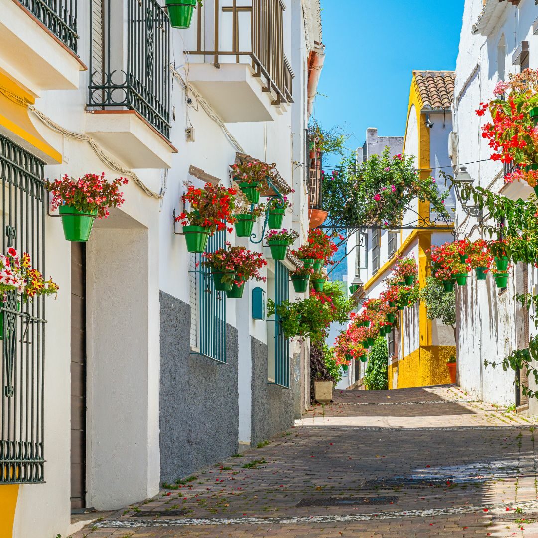 Straße mit Blumen in Malaga