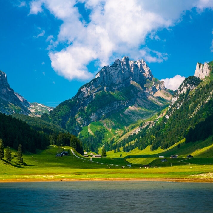 Panoramasicht auf die Alpen aus dem Zug