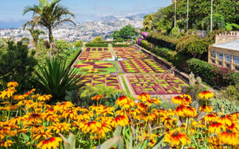 Botanischer garten auf Madeira