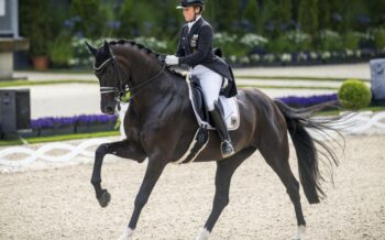 Pferd und Reiterin bei der Dressur der Reit-WM in Aachen