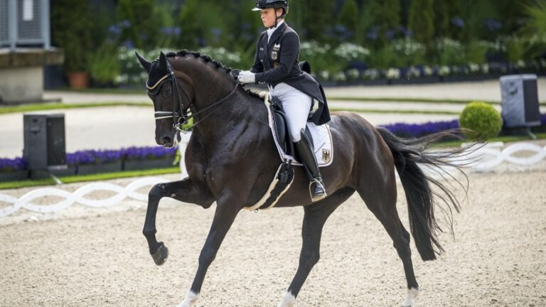  Reit-WM 2026 - FEI World Championships Aachen 