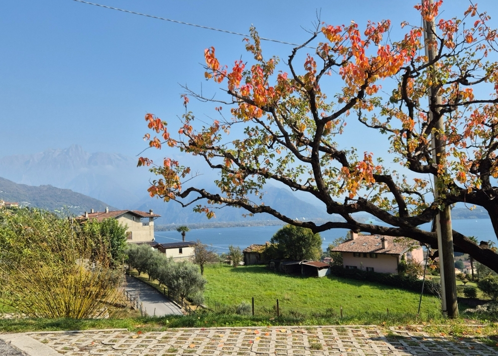 Landschaft am Comer See