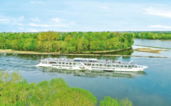 Blick auf die Loire Princesse auf der Loire