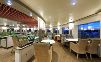 Palmengarten auf der MS Hamburg