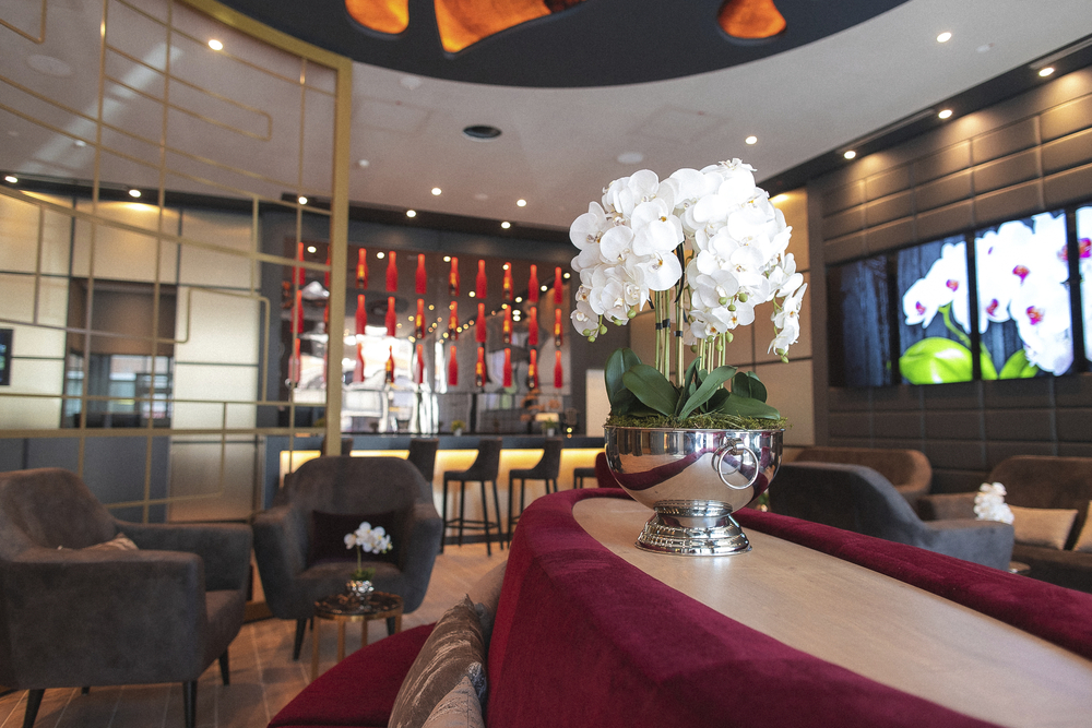 PLAZA Premium Heidelberg