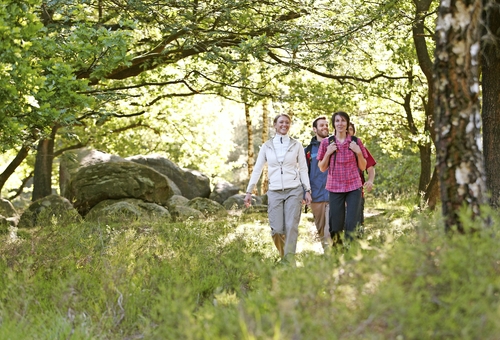 Tagestour Rundum -sorglos-wandern