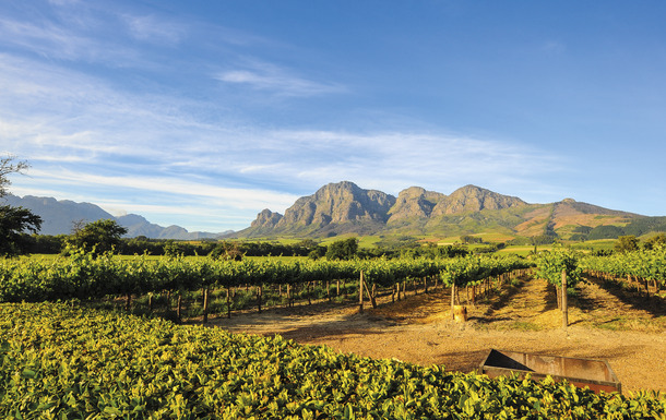 Weinanbaugebiet Stellenbosch_Südafrika
