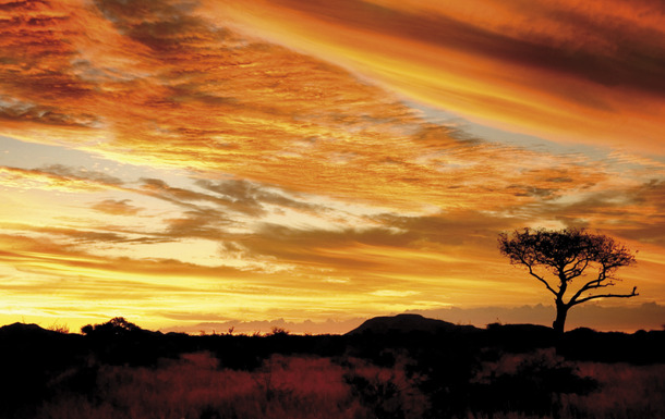 Sonnenuntergang_Safari_Südafrika