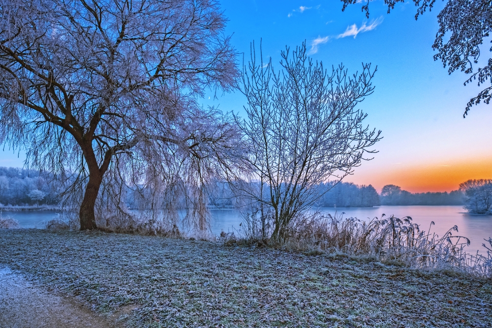 Winterlandschaft 1 / Eingefrorene Landschaft am Thielenburger See in Dannenberg (Wendland, Niedersachsen). Aufgenommen am 5. Dezember 2016.