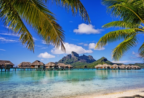 Bora Bora von Palmen umrahmt