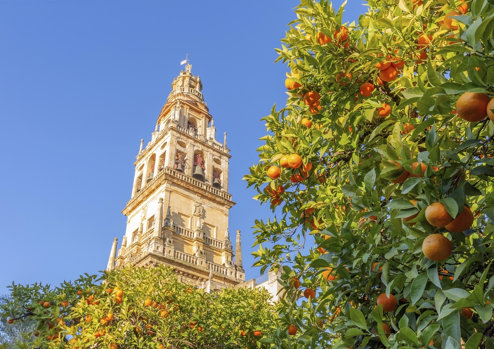 Glockenturm der Kathedrale von Santa Maria de la Sede 