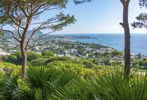 Aussicht über Natur und Küste auf Ischia