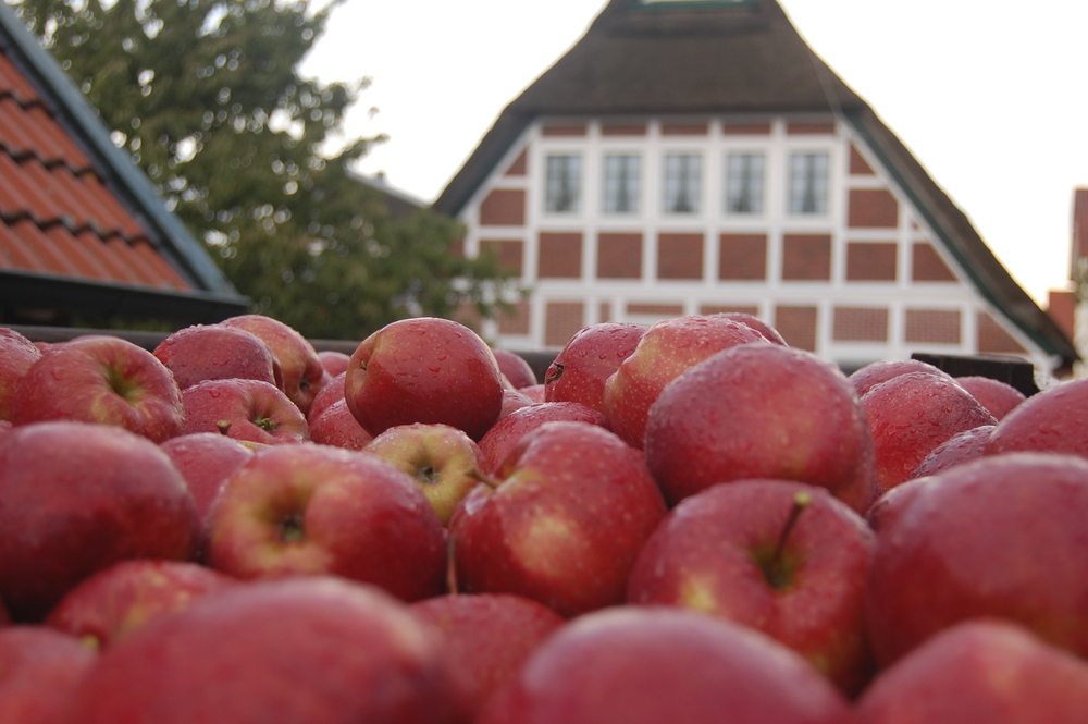 Äpfel des Herzapfelhof Luehs