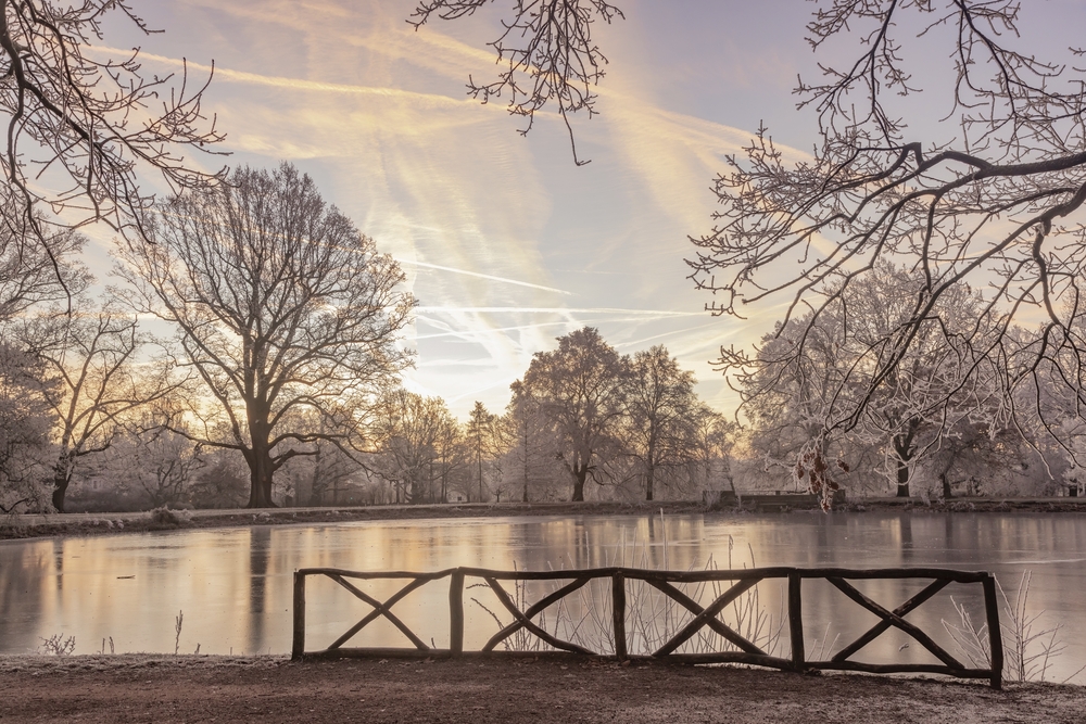 Park von Gotha im Winter