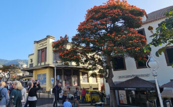 Stadtrundgang auf Madeira