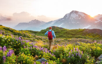 Wandern in den Bergen