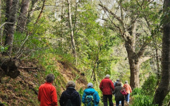 Wanderung der Reisegruppe auf Madeira