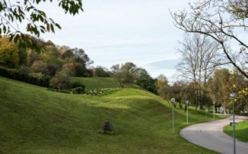 Eine grüne Wiese des Olympiaparks in München