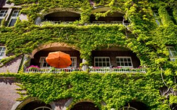 Häuserfassade in Hannover, welche bewachsen ist.