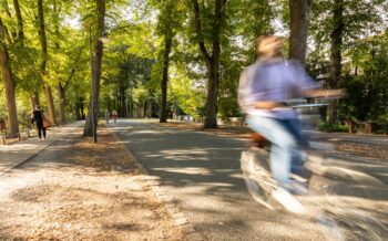 Münster Promenade mit dem Fahrrad